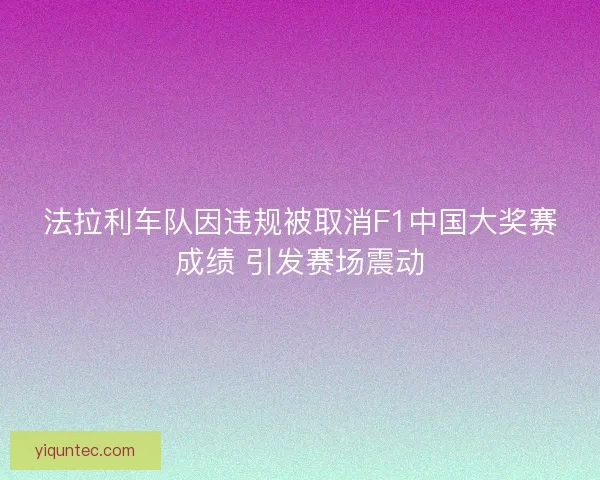 法拉利车队因违规被取消F1中国大奖赛成绩 引发赛场震动